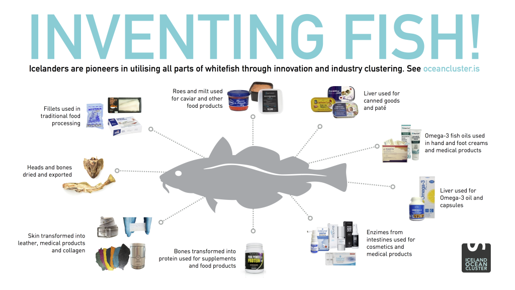 Inventing Fish