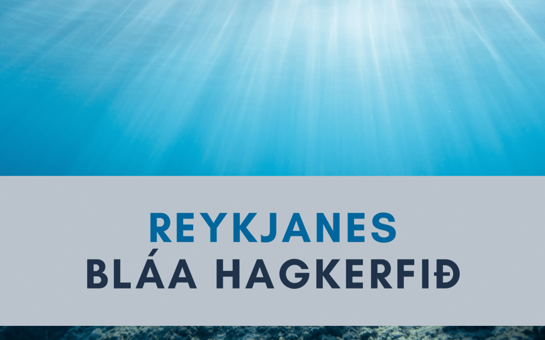 Reykjanes – bláa hagkerfið