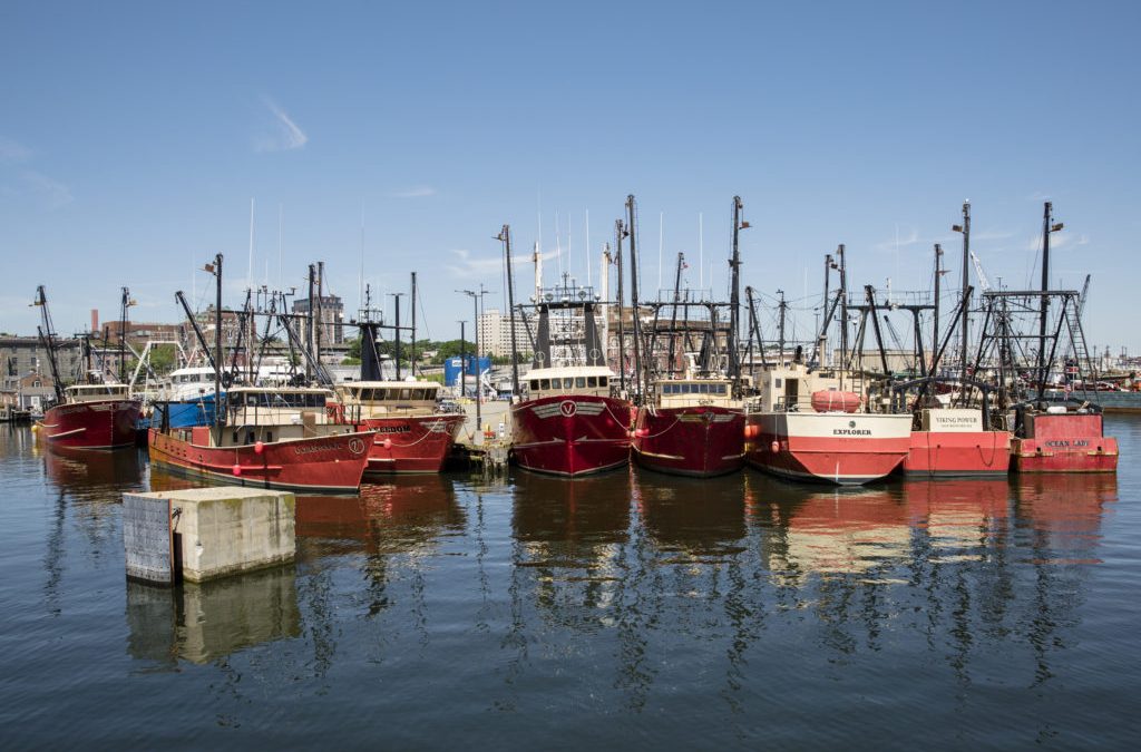 THE NEW BEDFORD OCEAN CLUSTER ANNOUNCES ITS INCORPORATION