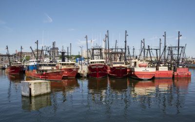 THE NEW BEDFORD OCEAN CLUSTER ANNOUNCES ITS INCORPORATION
