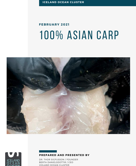 100% Asian carp