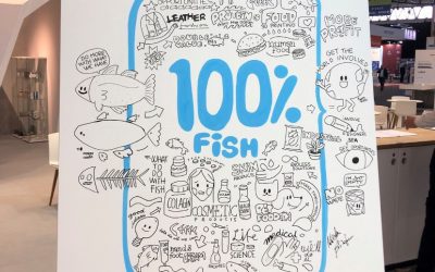 100% fish-an artists impression