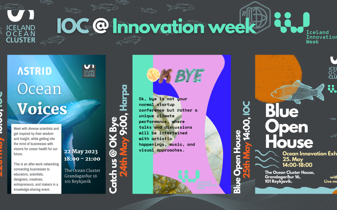 Meet us at Iceland Innovation Week