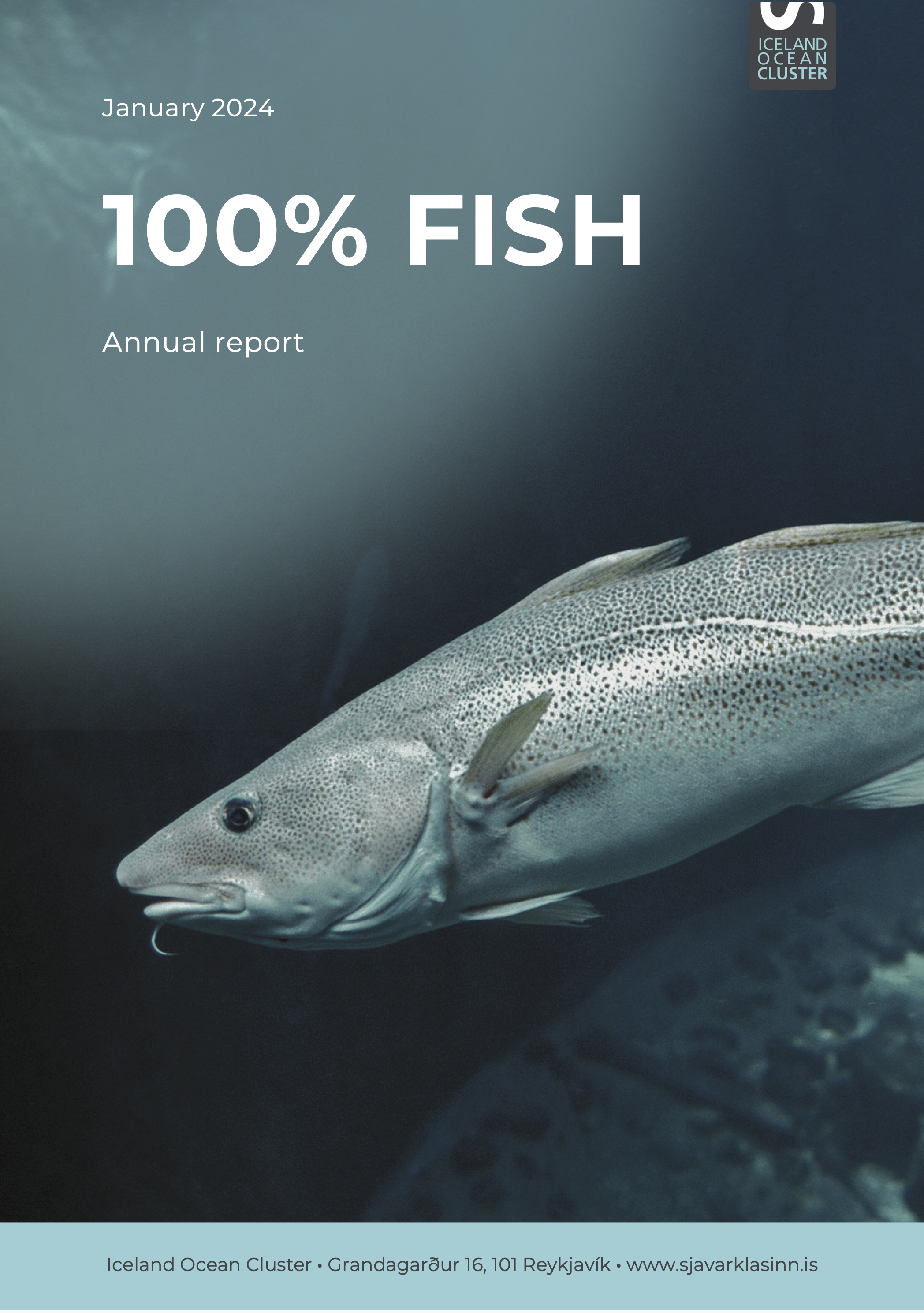 Cover of the 100% Fish Annual Report