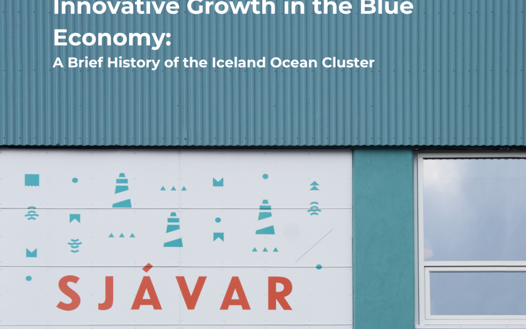Innovative Growth in the Blue Economy: A Brief History of the Iceland Ocean Cluster