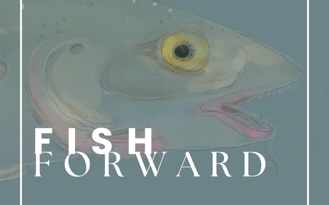 Fish Forward – Transforming Iceland´s sustainable future